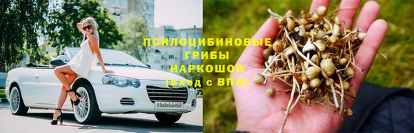 винт Алзамай